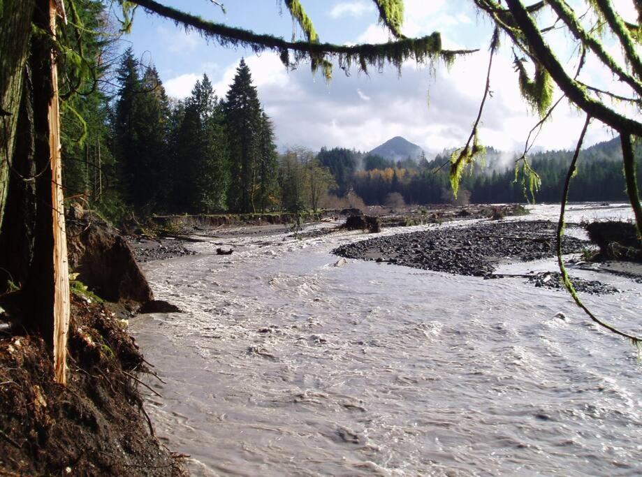 New Tiny Home Steps Away From Mt. Rainier แอชฟอร์ด ภายนอก รูปภาพ