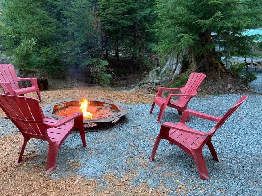 New Tiny Home Steps Away From Mt. Rainier แอชฟอร์ด ภายนอก รูปภาพ